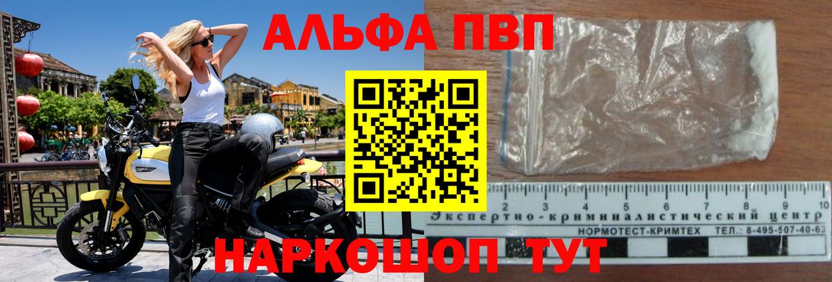Альфа ПВП СК КРИС Кольчугино