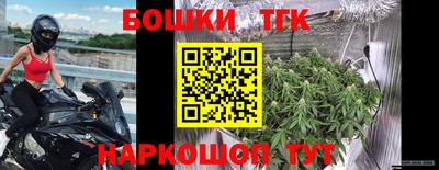 молекула духа Волжский