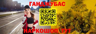 молекула духа Волжский