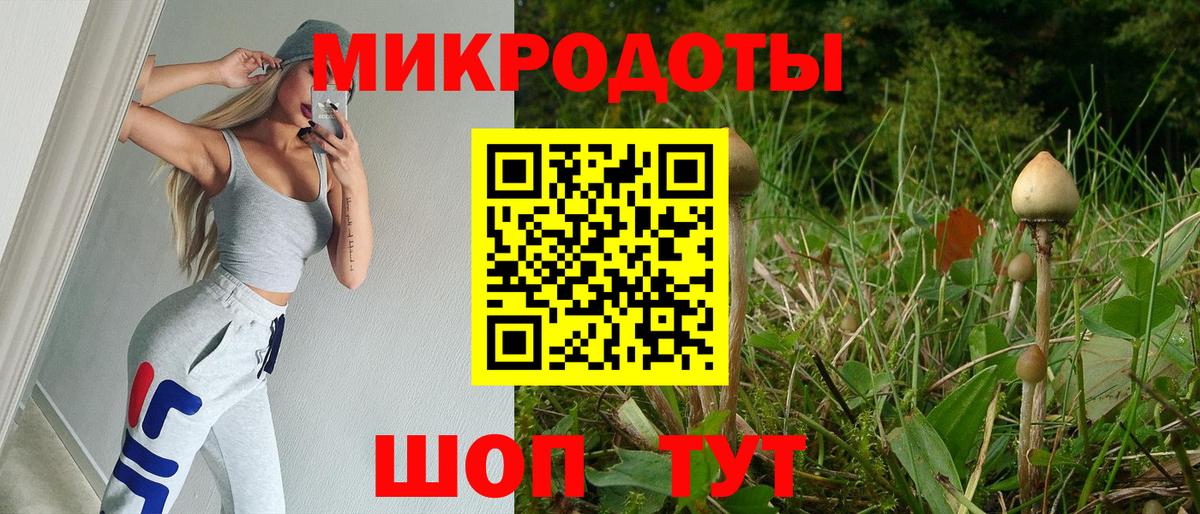 Псилоцибиновые грибы Psilocybine cubensis Кольчугино