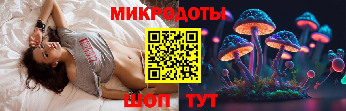 Галлюциногенные грибы Cubensis  Псилоцибиновые грибы мицелий  Кольчугино  Вход с VPN 